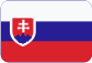 Przestrzenne zbrojenie ze stali Slovensky